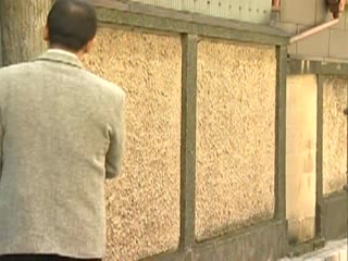 Japanese MILFs affair on tape